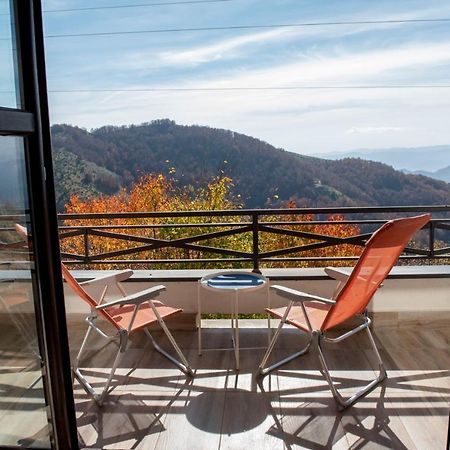 Apartman Andjela Kopaonik Ngoại thất bức ảnh