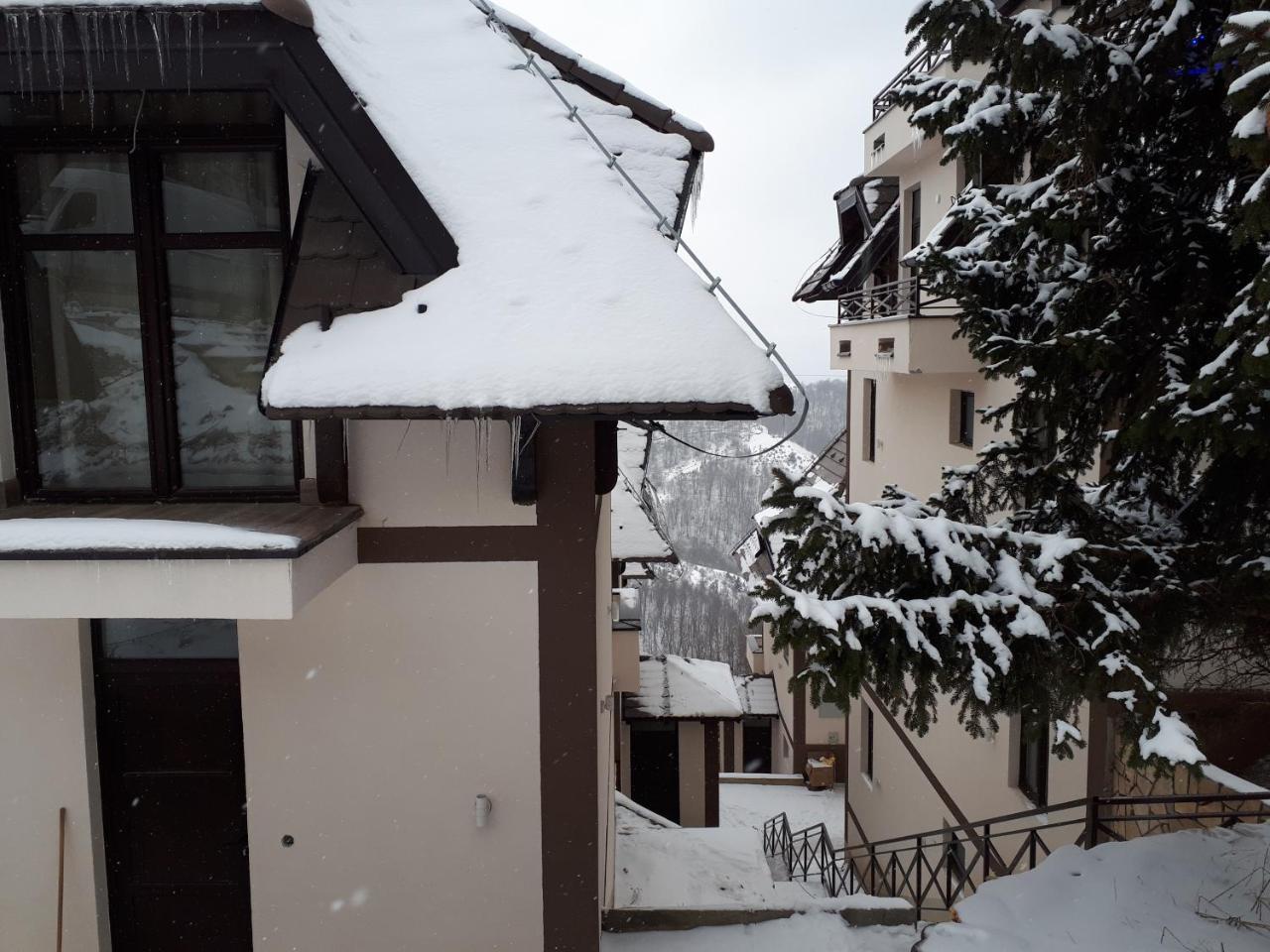Apartman Andjela Kopaonik Ngoại thất bức ảnh